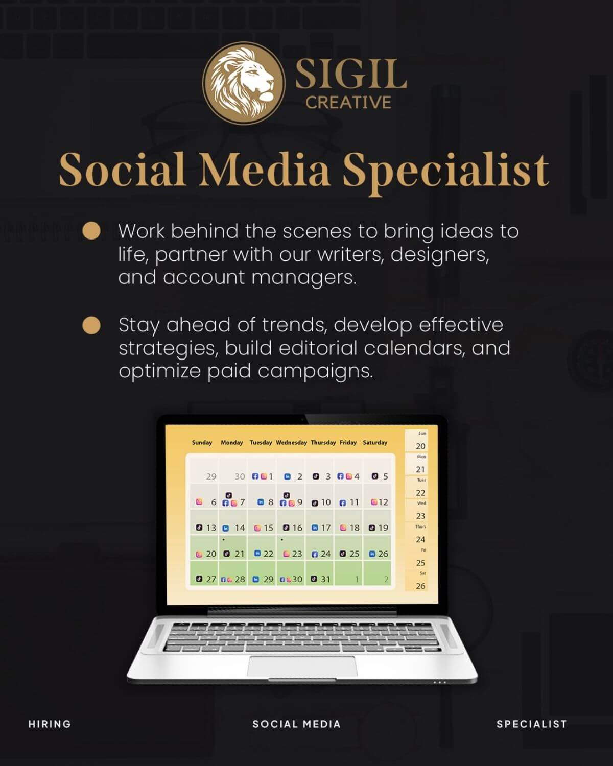 What Should You Expect From a Social Media Management Expert?